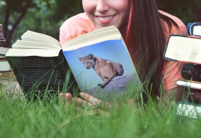 PhotoFuniaで加工した画像