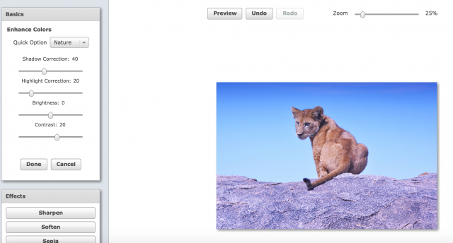 PicMagickの色の強調