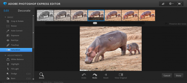 Photoshop Express Editorの彩度の加工画面