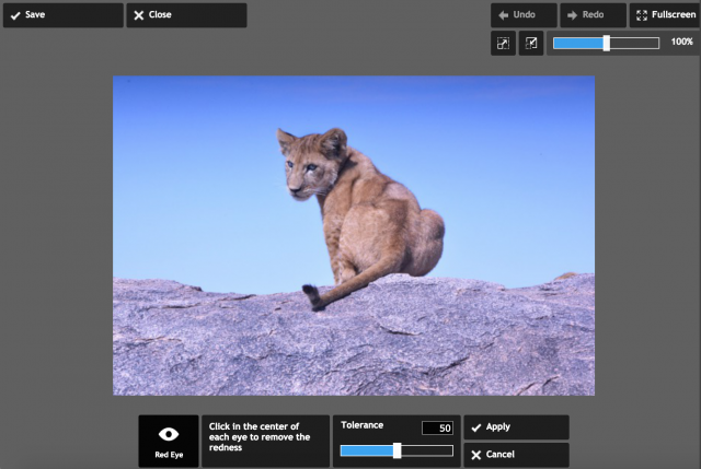 PIXLR expressの赤目補正の加工画面