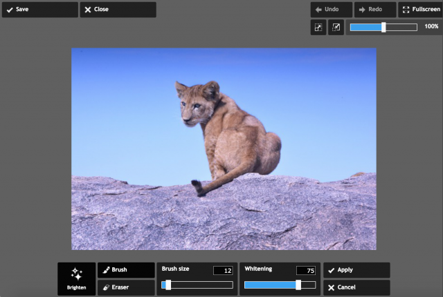 PIXLR expressのBrightenの加工画面