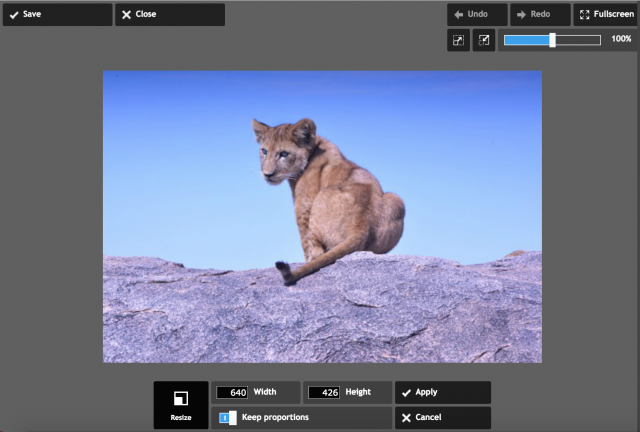 PIXLR expressのサイズ変更の加工画面