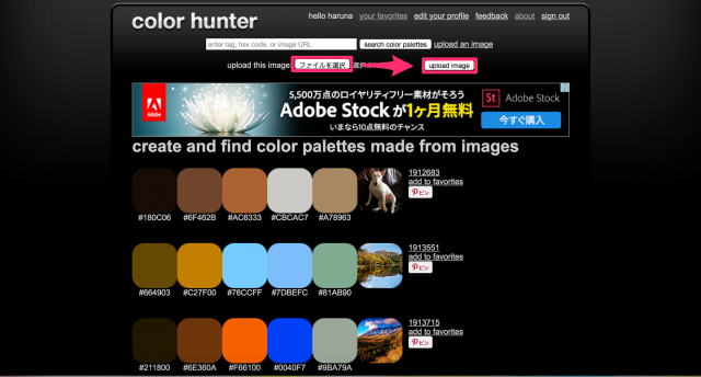 Color Hunterのトップページ